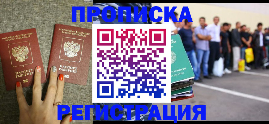 прописка законно в Чистополье